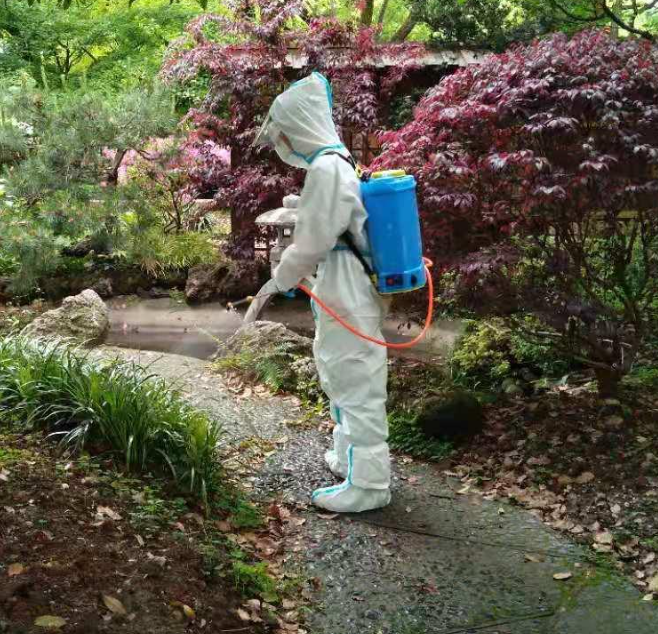 上海消杀公司6
